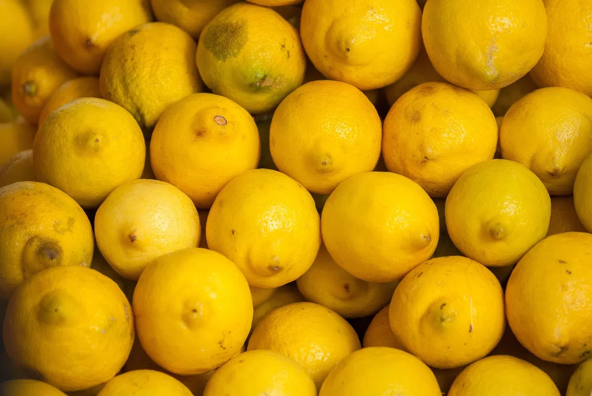 Organik Limon Nasıl Yetiştirilir?