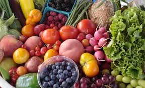 Organik Tarım Nedir? üretim ve kullanım görseli