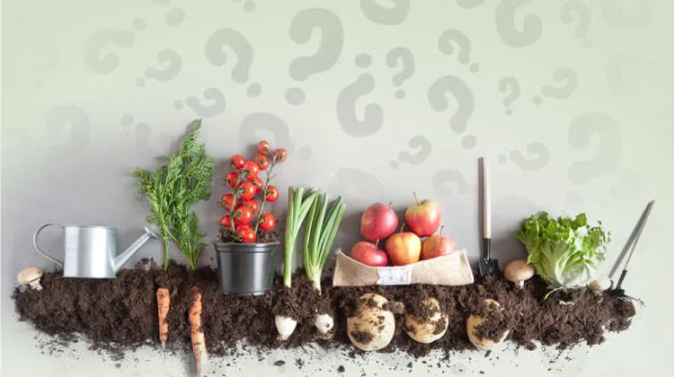 Organik Ürünler Neden Daha Pahalıdır? üretim ve kullanım görseli